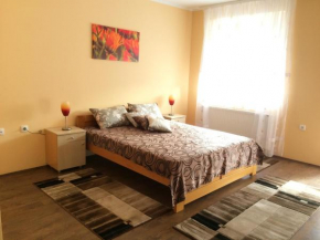 Гостиница B&B Zmajevo Gnezdo 021  Нови-Сад